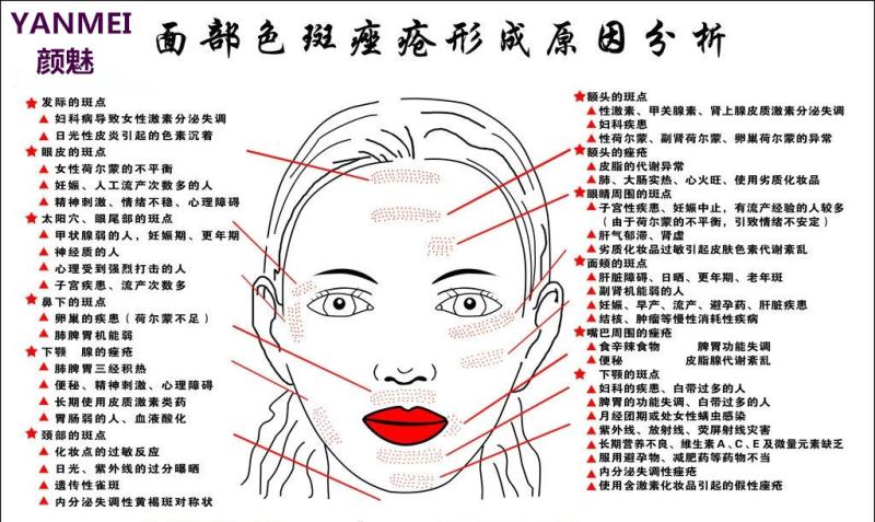 颜魅面部斑点分析图