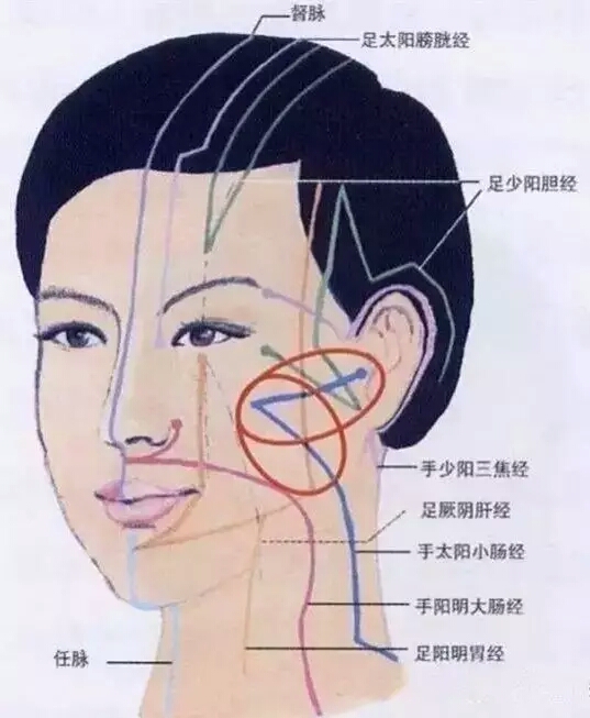 人体的健康和疾病都通过经络传导到面部反射区反射出来,而面部则是